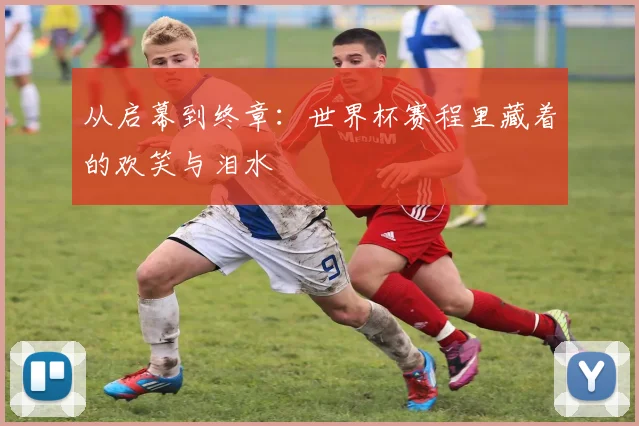 从启幕到终章：世界杯赛程里藏着的欢笑与泪水