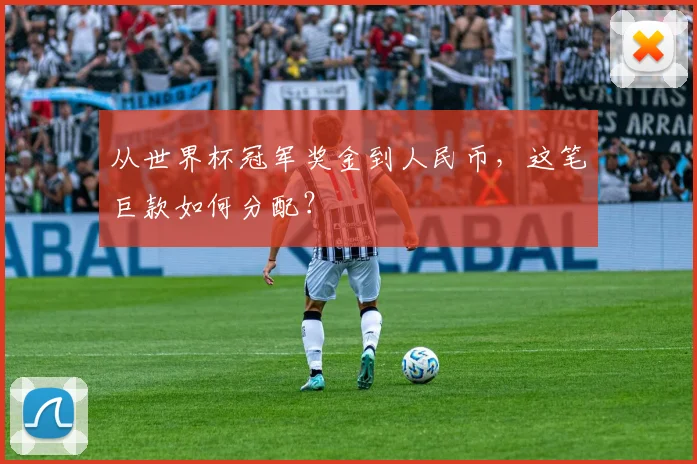 从世界杯冠军奖金到人民币,这笔巨款如何分配?