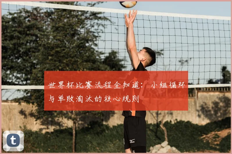 世界杯比赛流程全知道:小组循环与单败淘汰的核心规则