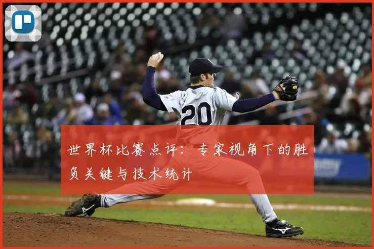 世界杯比赛点评：专家视角下的胜负关键与技术统计