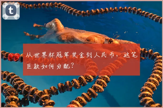 从世界杯冠军奖金到人民币,这笔巨款如何分配?