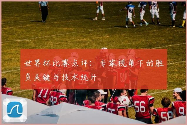 世界杯比赛点评:专家视角下的胜负关键与技术统计